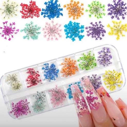 FLOR SECA DESIDRATADA ENCAPSULADA 3D GEL CAIXA C 12 PARES COR COLORIDO