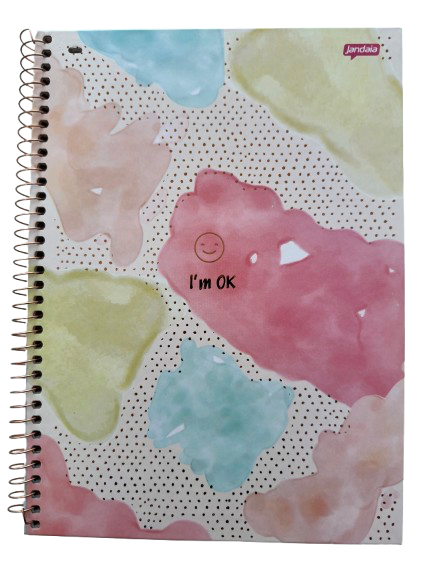 CADERNO 1 MATERIA C/ 80 FOLHAS LA CREME JANDAIA