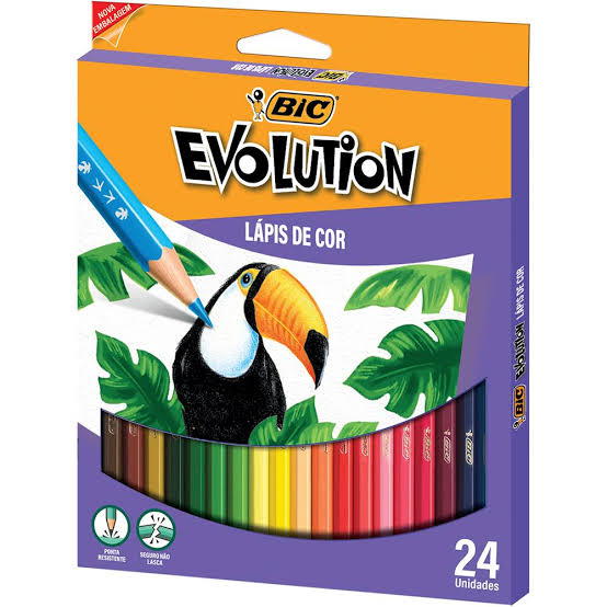 LAPIS DE COR 24 CORES EVOLUTION BIC