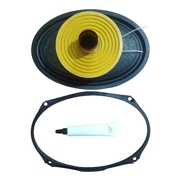 Reparo Alto Falante 6x9 Compatível Pioneer Ts-a6995s