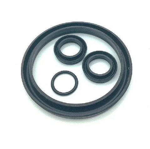 Reparo Válvula de Admissão 2 Pol. C/ 4Pçs - 021.0041-0/AT - Schulz