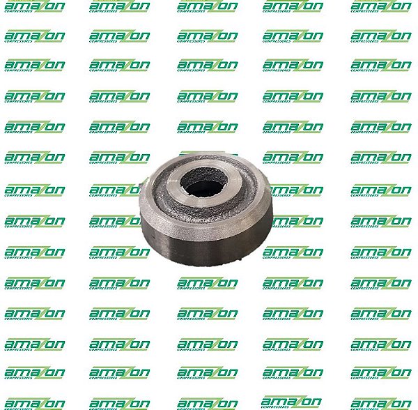PALETRANS - RODA DE SUBIDA FUNDIDA - LM1016/ LM1516/ LE 1016