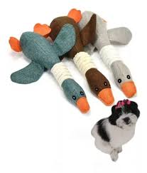 Brinquedo Mordedor Pelúcia Ganso Pato Pet Cães Grande Médio