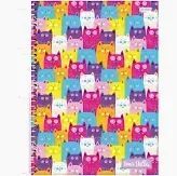 Caderno Univ Capa Dura 10 Materias Stella 160f Jandaia