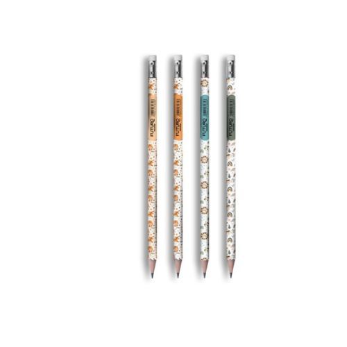 Lapis HB com Borracha Animais da Selva Futuro