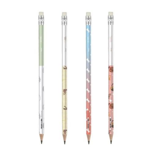 Lapis Hb Resina Sextavado Best Friend com Borracha Brw