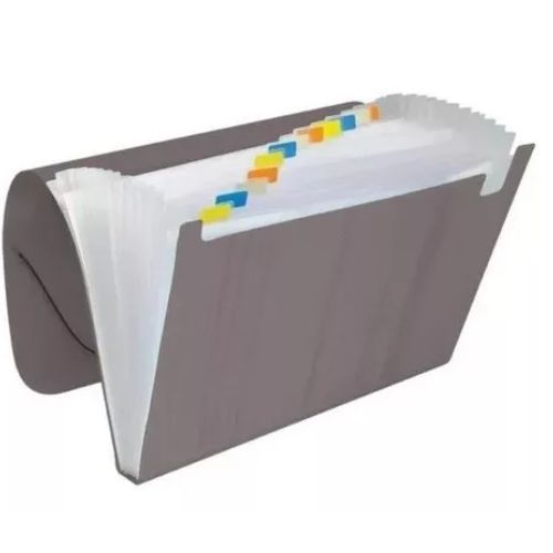 Pasta Sanfonada 12 Div A4 Fume Acp