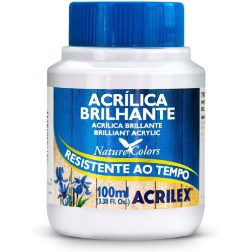 Tinta Acrilica Brilhante 100ml Branco Cod 519 Acrilex