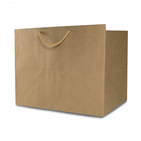 Sacola 33x24x26cm - Kraft - 10 Unidades