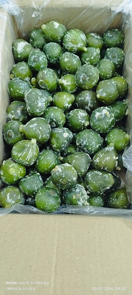 DOCE FIGO CRISTALIZADO / GLACEADO / RECHEADO / COBERTO CHOCOLATE / CALDAS POTE 650gr - DIRETO FABRICA UAI MINAS