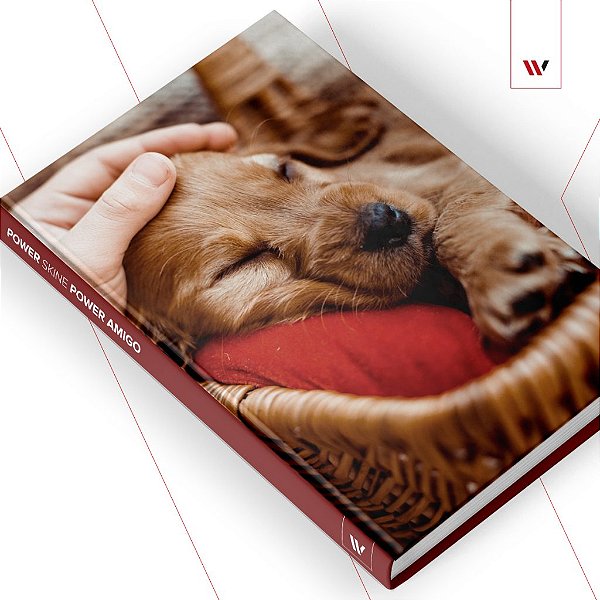 Power Skine - Power Friend