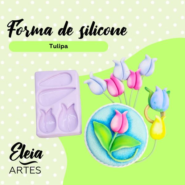 Tulipa