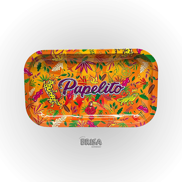 Bandeja De Metal Papelito Grande