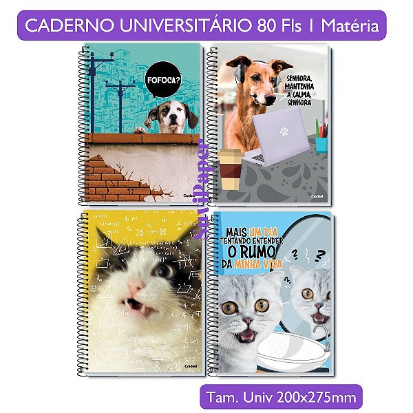 Caderno Universitário Escolar Grande Vida de Pet Coleção 2026 1 Matéria 80 Folhas Credeal Meme Brasileiro Memes BR