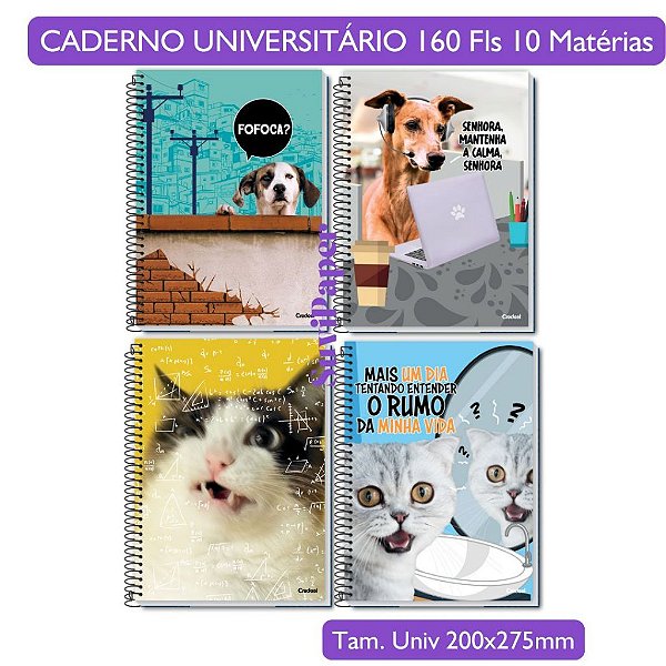 Caderno Universitário Escolar Grande Vida de Pet Coleção 2026 10 Matérias 160 Folhas Credeal Meme Brasileiro Memes BR