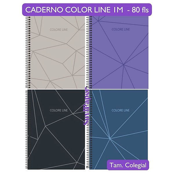 Caderno Colegial 1M Color Line 3B Capa Dura 80 Folhas Tamanho 18,3x24,9 cm