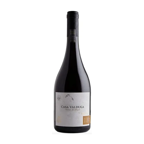 Vinho Casa Valduga Terroir Exclusivo Syrah Viognier 750 ml