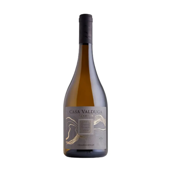 Vinho Casa Valduga Terroir Chardonnay 750 ml