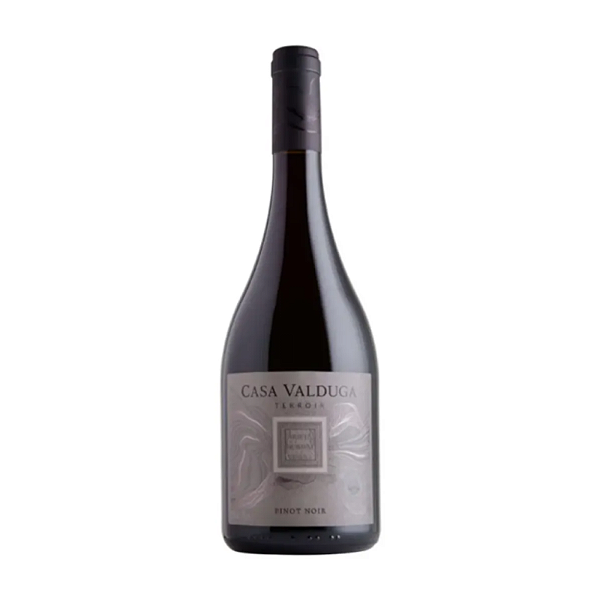 Vinho Casa Valduga Terroir Pinot Noir 750 ml