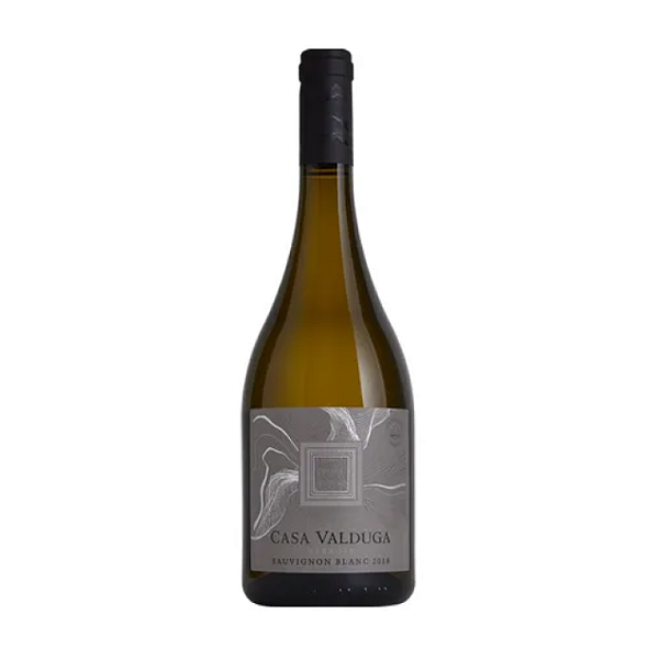 Vinho Casa Valduga Terroir Sauvignon Blanc 750 ml