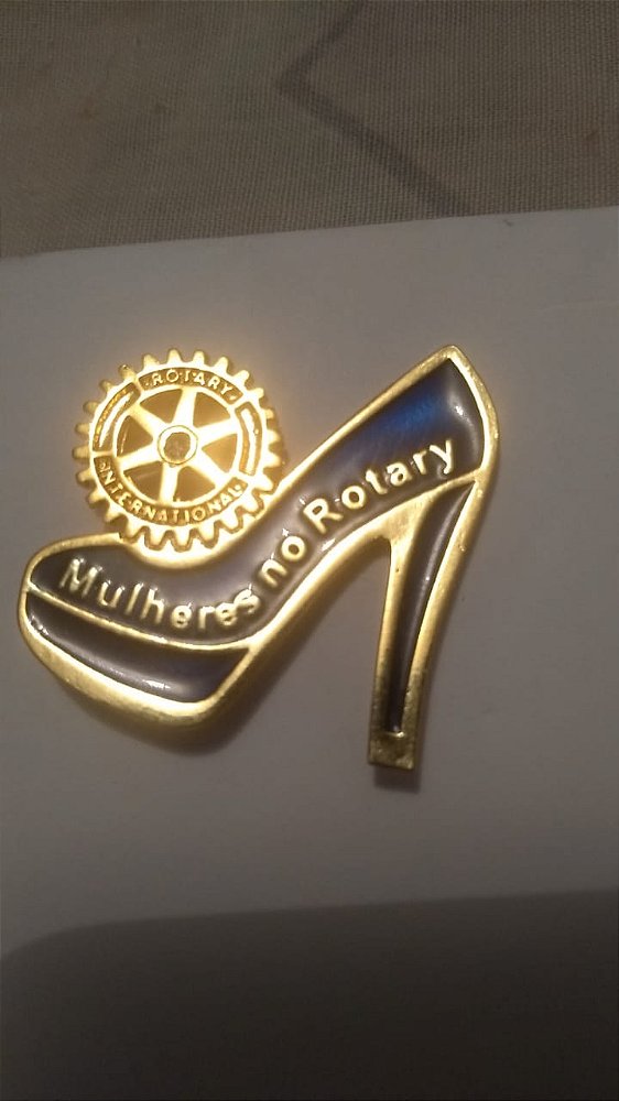 Pin Mulheres no Rotary