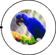 BOTTONS FAUNA BRASILEIRA E OUTROS Tamanho:3.8 cm;MODELO 1:Eu tenho Amigo Brasil