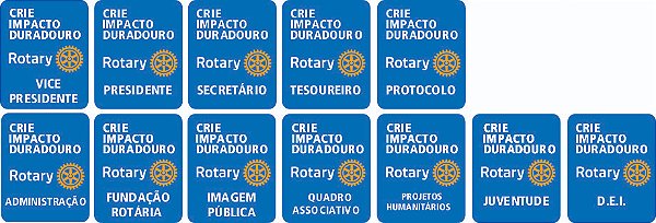 PINS DIRETORIA 2026-27