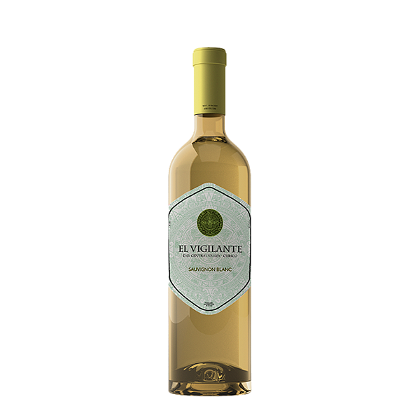 El Vigilante Sauvignon Blanc 2024