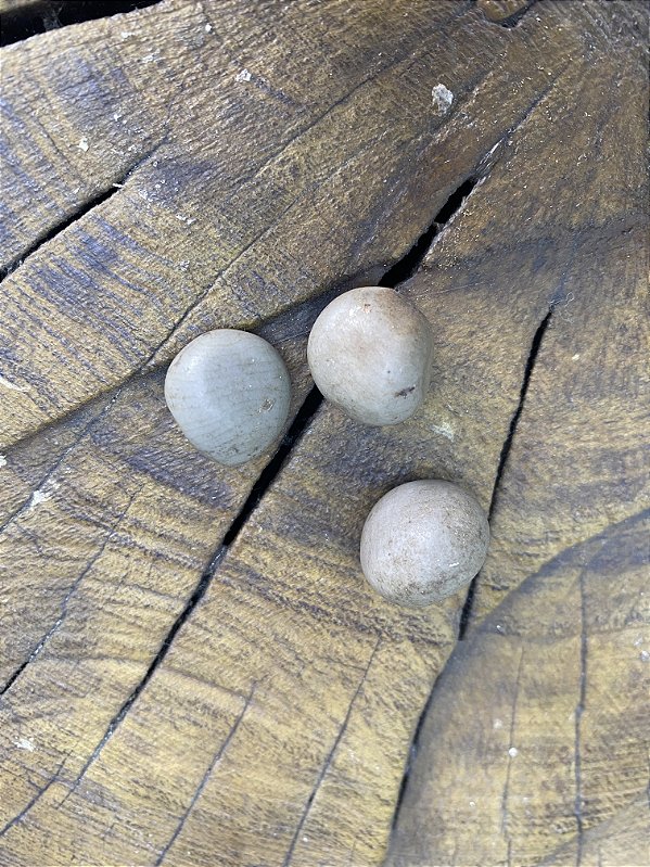 Fava de Oxossi / Vidência / Ayo