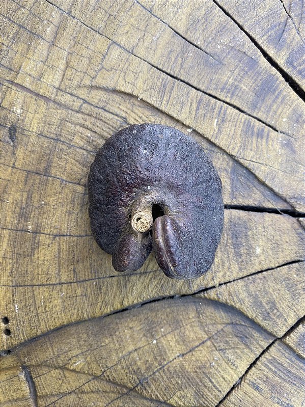 Fava de Obá