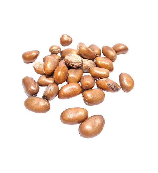 Fava Ario