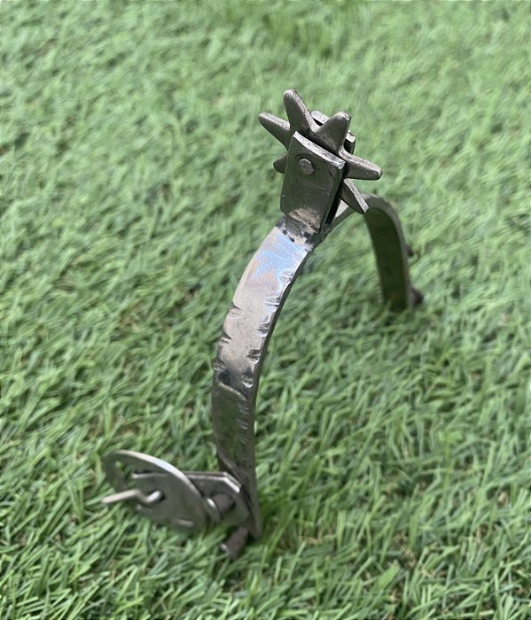 Espora de metal verdadeira