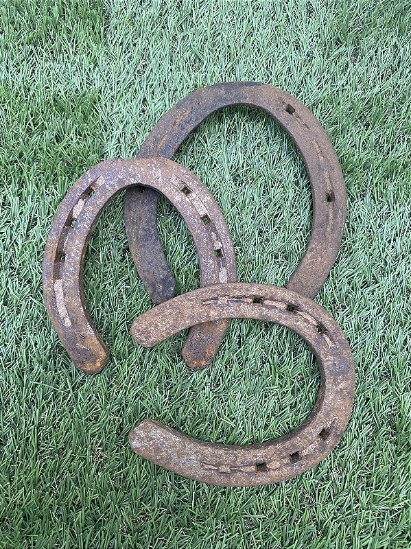Ferradura de Cavalo