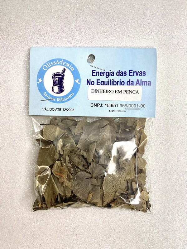 Erva Dinheiro em Penca