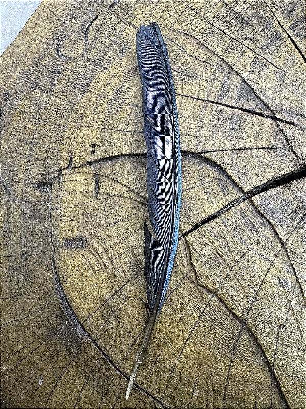 Pena de Agbe / Àgbè
