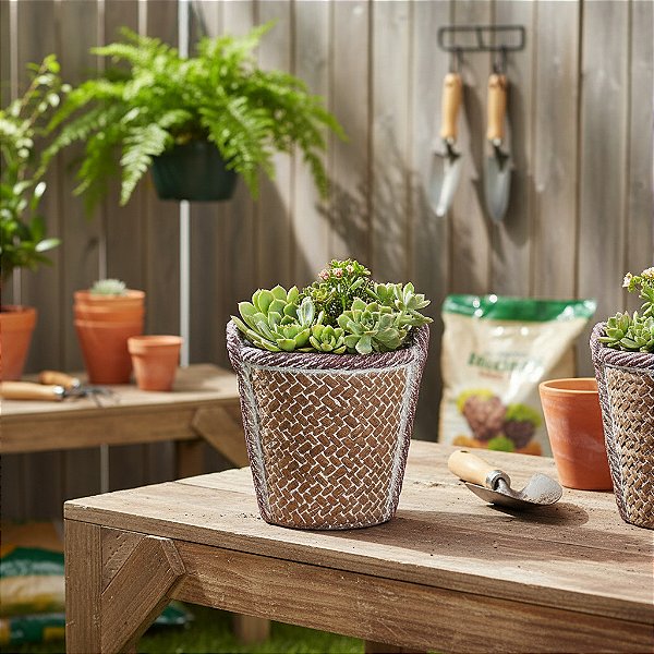 Cachepot Vaso de Planta de Cimento Cestinha Pequena 9x9x10 - 2 un