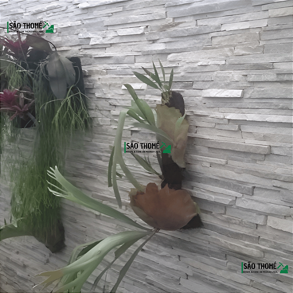 Filete Canjiquinha São Tomé Branco Irregular  | Valor do m² | Comprar