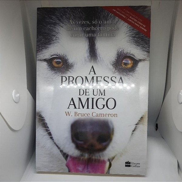 A promessa de um amigo - W.Bruce Cameron