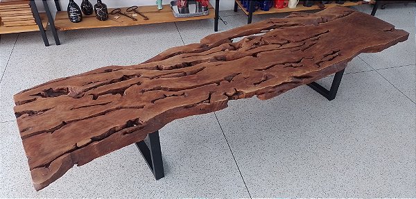 Banco Árvore Centenária