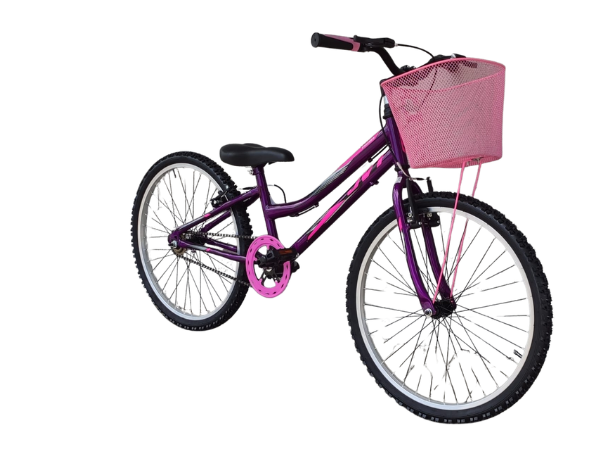 Bicicleta aro 24 JVT Roxa