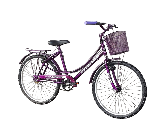 Bicicleta aro 24 JVT Lyli Roxa