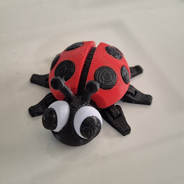 Mini Joaninha