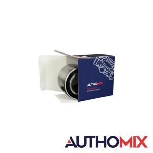 ROLAMENTO RODA TRAS AMX C3