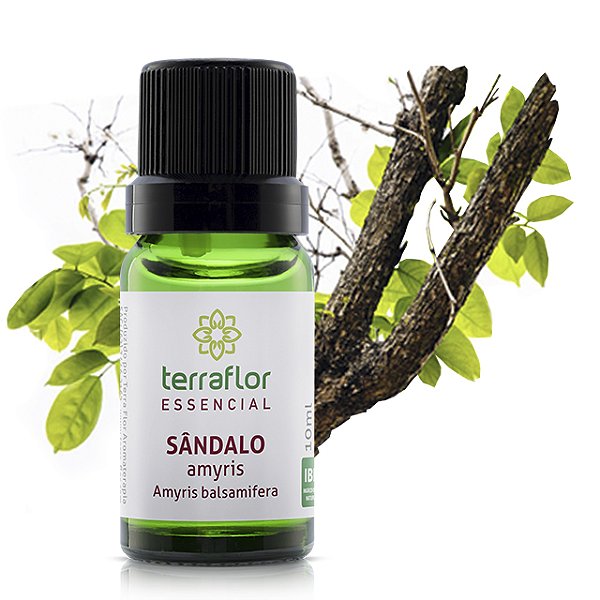 Óleo essencial - Sandalo Amyris10ml - Terraflor