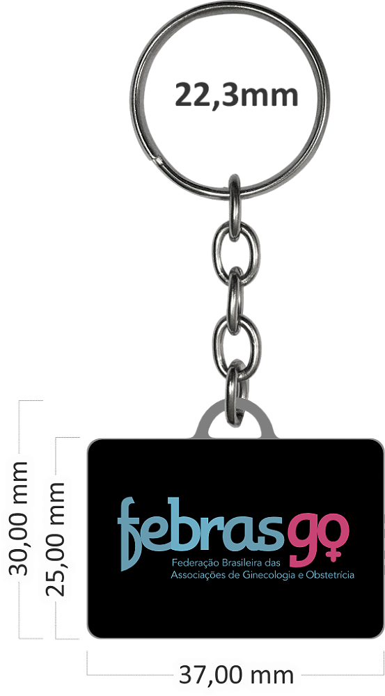 Chaveiro C17 Corrente