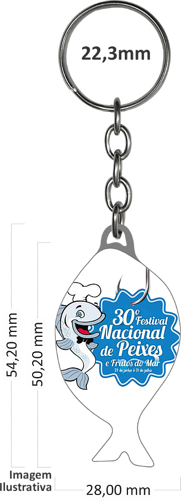 Chaveiro C29 Corrente