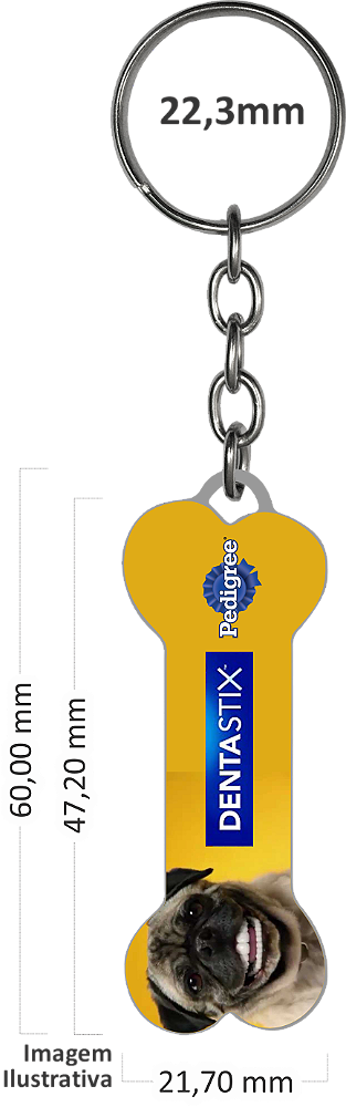Chaveiro C31 Corrente