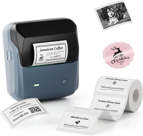 Impressora Térmica De Etiquetas Niimbot B31