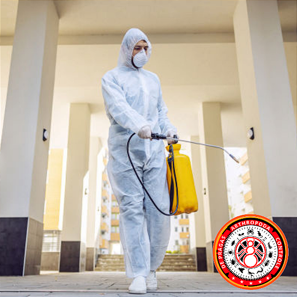 Dedetização ( valor sugerido no site antes de fechar serviço consulte vendedor)