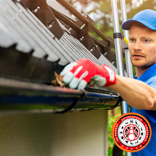 Limpeza De Calhas ( valor sugerido no site antes de fechar serviço consulte vendedor)